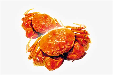 螃蟹logo图片_螃蟹logo设计素材_红动中国