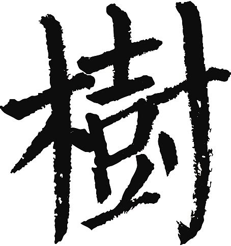 树 - 简繁异字形对照 - 书同文汉字网