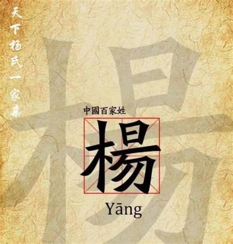 我姓杨头像图片