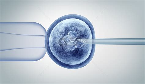 人类深底精子和蛋细胞的抽象3d图解高清图片下载-正版图片303339677-摄图网