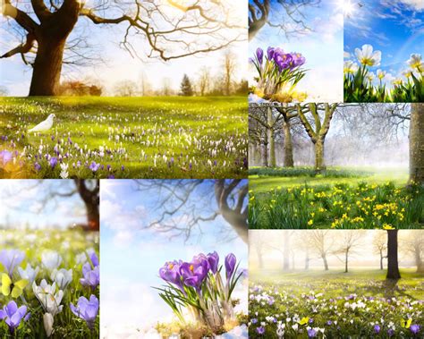大自然春天美景语句,描写春天大自然的景象,春游大自然的美景句子_大山谷图库