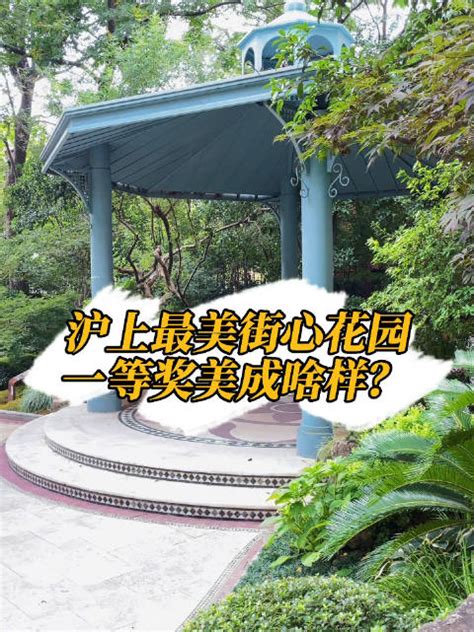 2021年沪上最美街心花园一等奖 长啥样？_新浪新闻