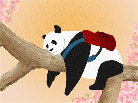 熊猫一二情侣头像 - 堆糖，美图壁纸兴趣社区