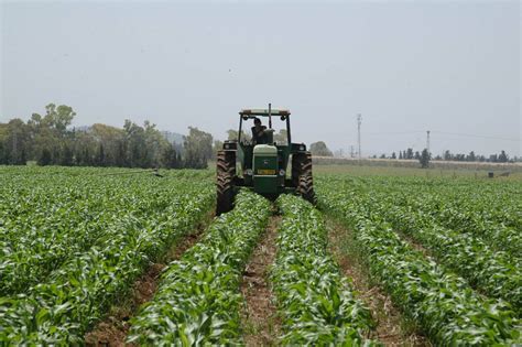 三农日报（6月20日）智慧农业：农业生产高级阶段