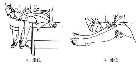 十三、膝反射的引出-临床护理操作-医学