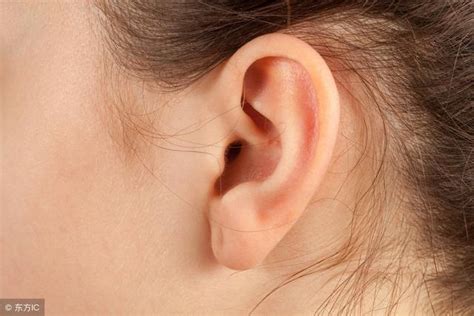 耳朵是怎样听到声音的？ - 知乎