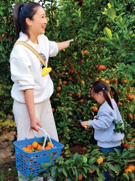 惠阳良井一农场举行吃西瓜比赛 “小豆丁”参赛萌翻全场_澎湃号·媒体_澎湃新闻-The Paper