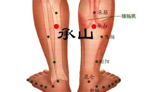 承山穴位位置图和作用_360新知