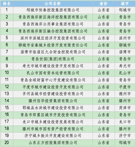 山东省地方政府投融资平台转型发展评价（2023）正式发布_凤凰网