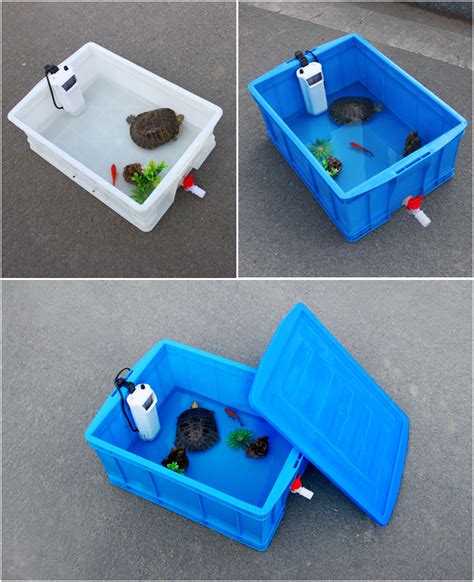 自制玻璃龟缸设计图 水陆生态龟缸图_宠物百科 - 养宠客