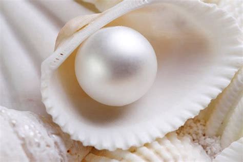 光泽度仪评定珍珠的光泽等级-3nh品牌安徽营销服务中心