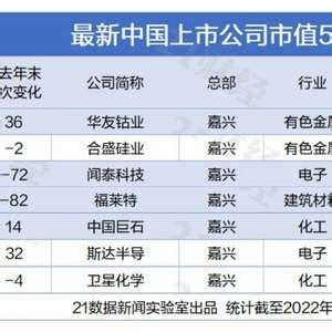 嘉兴7家！最新中国上市公司市值500强来了_手机新浪网