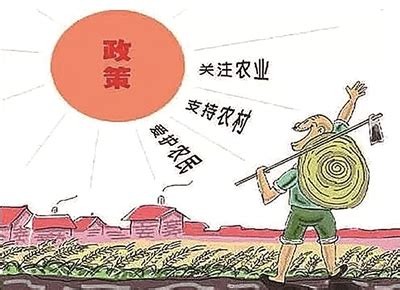 手中有粮心里不慌，记者探秘广州的“大国粮仓”：可供100万人吃半年_南方网