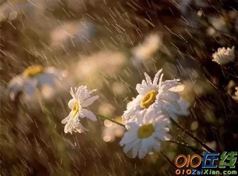 关于雨的古诗 关于雨的唯美诗句_万年历