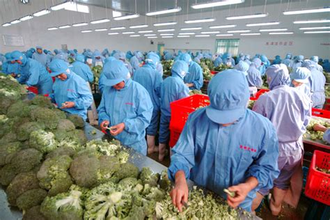 2023年中国果园面积及水果产量预测分析（图）-中商情报网
