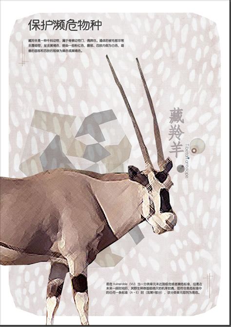 《国家重点保护野生动物图鉴》-中国首部收齐最新版国家重点保护野生动物的图文出版物 _www.isenlin.cn