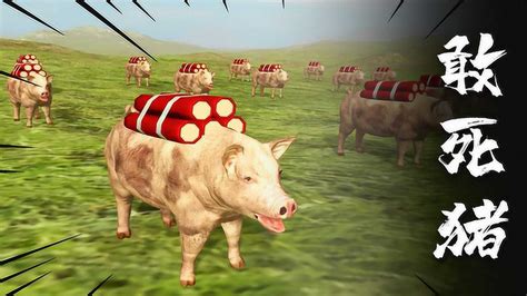 猛兽大战02：疯狂的猪出战，驮着武器向前冲锋，保护农场主人_腾讯视频