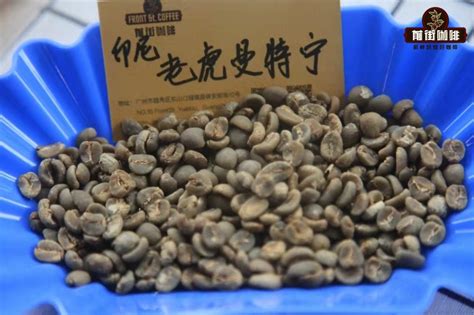 印尼曼特宁咖啡豆最佳冲泡方法技巧分享 手冲黄金曼特宁的特点风味口感介绍 中国咖啡网