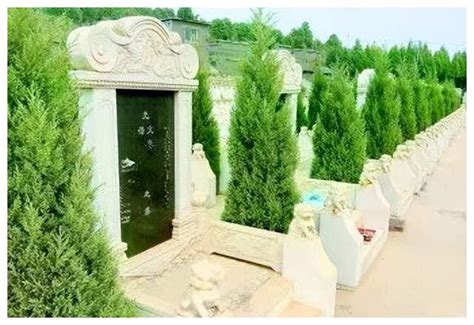土葬与骨灰葬的墓地风水讲究|墓穴|灵柩|风水_新浪新闻