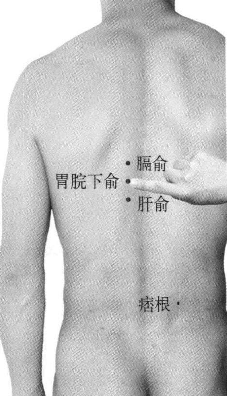 胰俞的准确位置图图片 胰俞的准确位置图图片