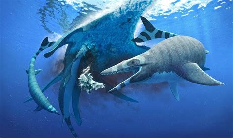 史前海洋霸主——那些统治远古海洋的猛兽，到底有多可怕？__凤凰网