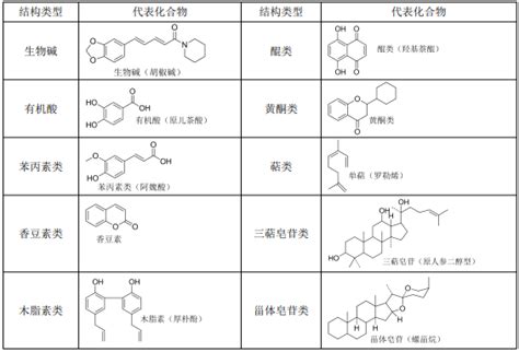 初中化学常见物质化学式(表格)_word文档在线阅读与下载_文档网