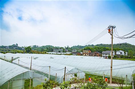 重庆璧山：优化营商环境 “电”亮美丽乡村