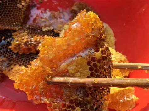 如何鉴别蜂蜜的真假？可从这5个方面来鉴别，让假蜂蜜无处遁形！ - 蜜蜂讲堂 - 养蜂人