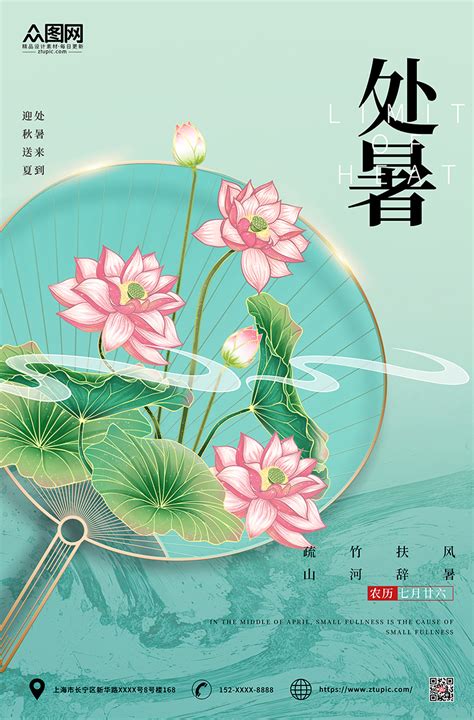 琴新图片