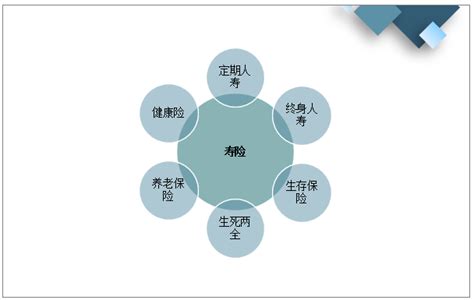 2021年中国寿险业务保费收入、赔付规模及发展前景分析[图]_智研咨询