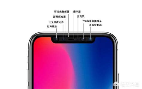iPhone11正面刘海集成的几颗镜头是什么？-苹果iPhone 11（4GB/64GB/全网通）-ZOL问答