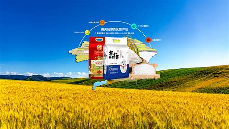 兴隆米业 -桃源县兴隆米业科技开发有限公司官方网站