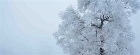 今日冬雪雪冬小大寒是指哪六个节气（冬雪冬小大寒是指哪六个节气）_科学教育网