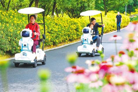 襄阳城市公园 机器人伴游 湖北日报数字报