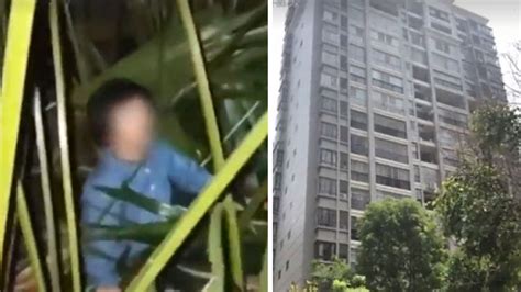 4岁女童从5楼摔下来 邻居家黄桷树救她一命 - 青岛新闻网