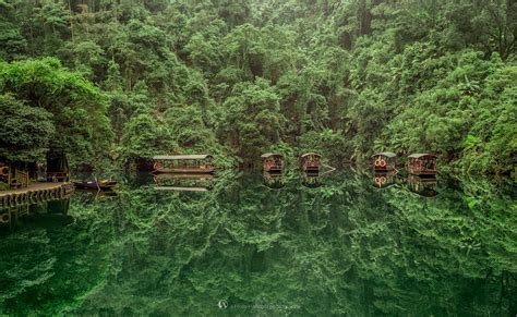 国际生物多样性日 邀您云赏中国·红河蝴蝶谷