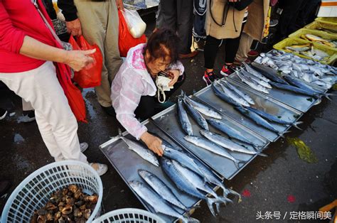 海鲜市场买鱼,海鲜鱼鱼类(第10页)_大山谷图库