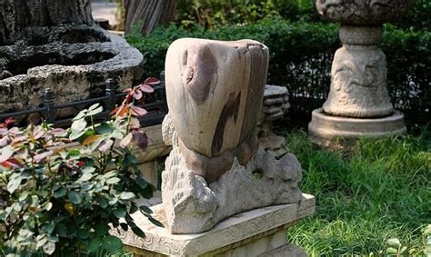 去故宫游玩，你注意过御花园中的三块石头吗？|御花园|天一门|木变石_新浪新闻