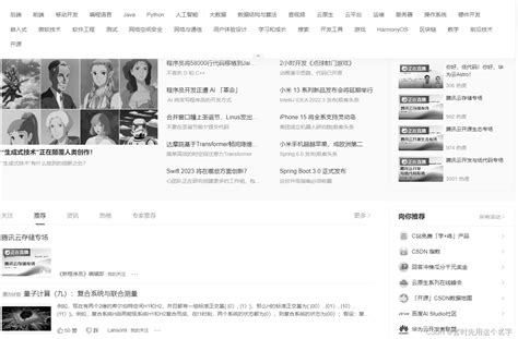 网站风格变黑白的方法，用css或javascript方法将网站改为灰色-CSDN博客