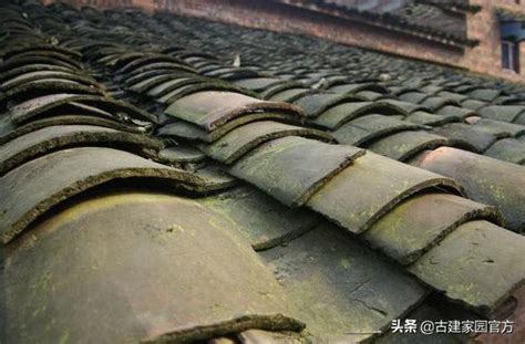 「古建中国」古建筑施工中小青瓦铺设的具体步骤|屋脊|青瓦|屋面_新浪新闻