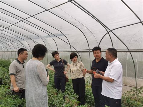 园艺所专家分赴各区指导农业生产_科技服务_新闻中心_上海市农业科学院