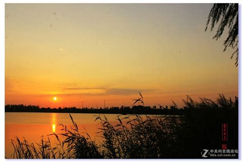 安国湿地夕阳美景（1）-中关村在线摄影论坛