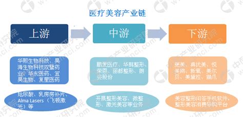 干货！2023年中国医疗美容行业产业链现状及市场竞争格局分析 广东、四川省分布企业数量较多_研究报告 - 前瞻产业研究院