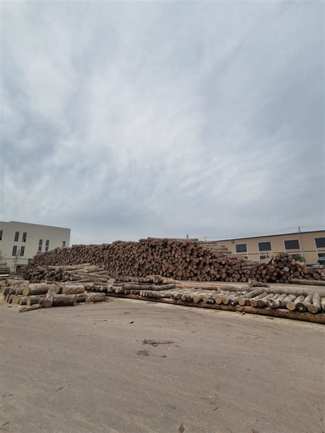 四川省邛崃市平乐新街木材加工厂-中国木业网