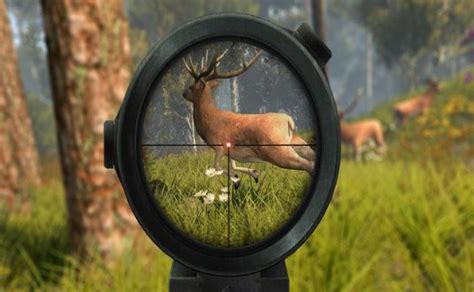 猎鹿人2020破解版无限金币钻石下载-Deer Hunting(猎鹿人2020破解版中文无限金币)v2.0.3安卓版下载_骑士下载
