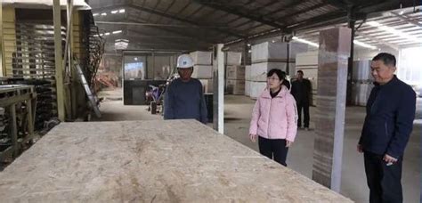 菏泽市政协主席带队调研牡丹区木材加工产业发展情况-木业网