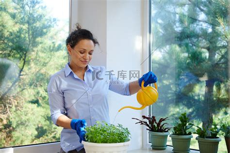 可爱的家庭主妇用喷壶浇灌室内植物，照顾家花和栽培的罗勒植物高清摄影大图-千库网