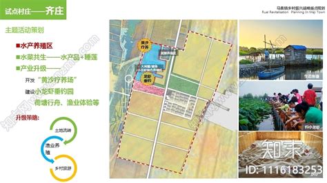 齐河县全域旅游发展规划