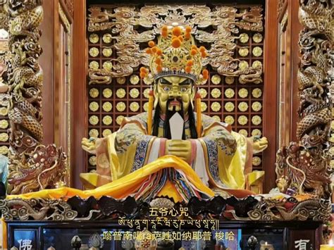 妙德老和尚荼毗法会在五台山碧山寺举行