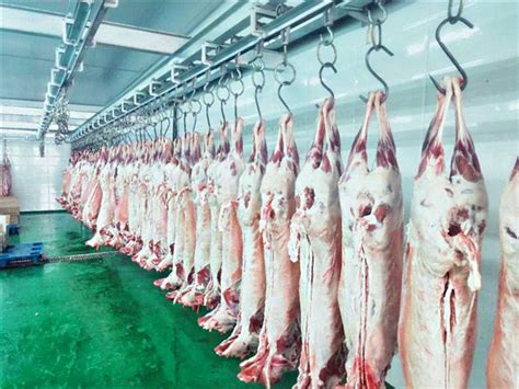 分割车间 - 赤峰亿豪肉羊产业有限公司